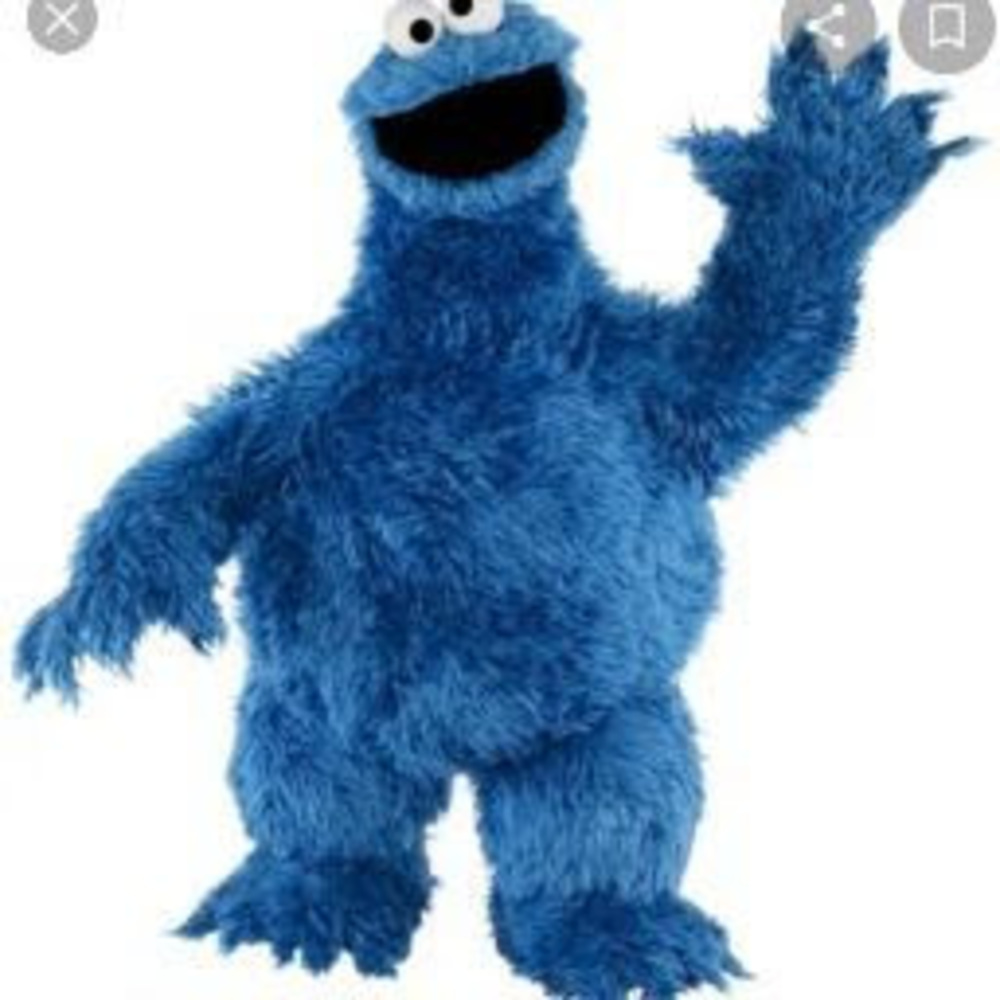 Meet your Posher, Mary anne